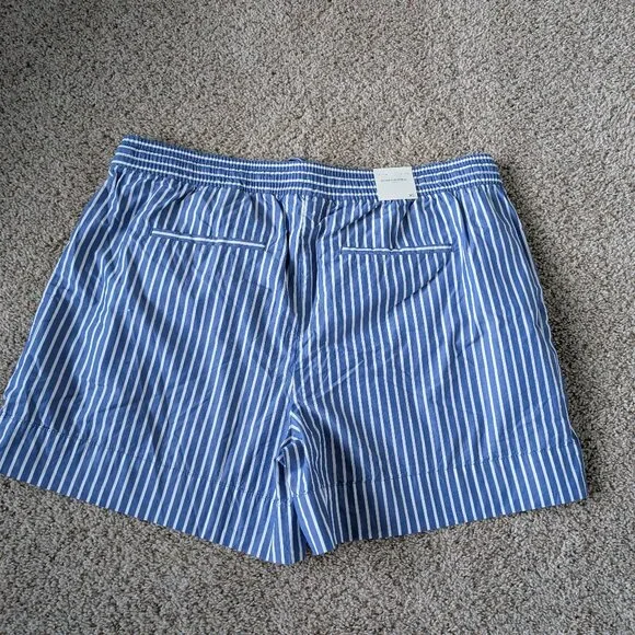 Banana Republic Blue and White Striped Cotton Shorts - Picture 7 of 7